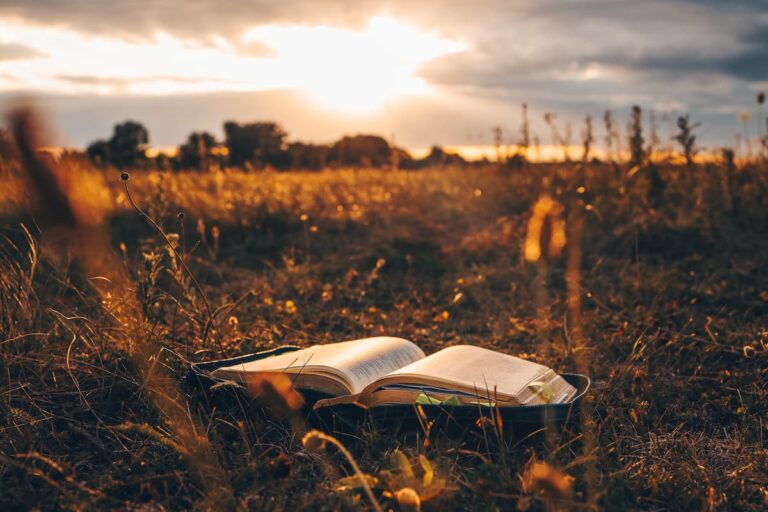 Open Bible in a field at sunset