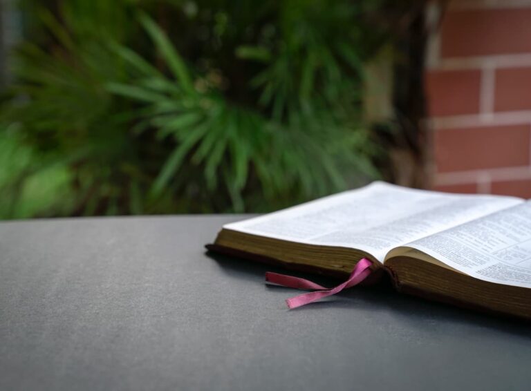 Open Bible on black tabletop with palm tree background